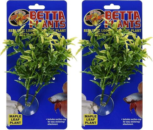 Zoo Med Laboratories Betta Plant Maple Leaf (2 Plants) in Saudi Arabia