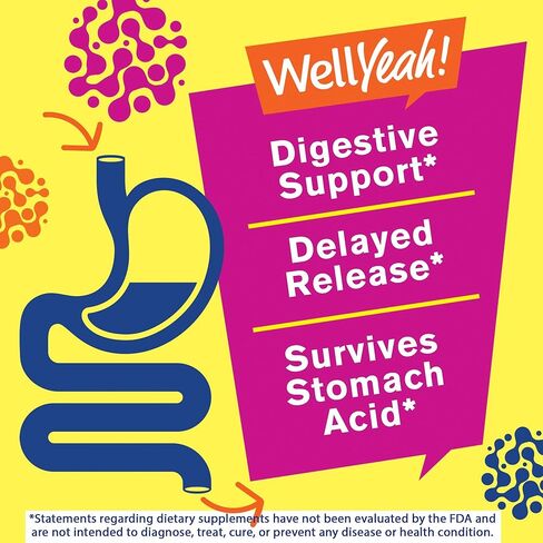 WellYeah Probiotics for Women Gummies (2 Pack) - 10 Billion CFU - for Digestive Support, Gut Health, and Feminine Health Support -Berry Flavor - Vegan, Delayed Release Womens Probiotic - 60 Gummies in Kuwait