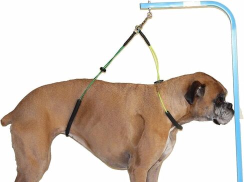 No Sit Haunch Holder Dog Grooming Harness Leash Loop for Medium/Large Dogs Pet in Kuwait