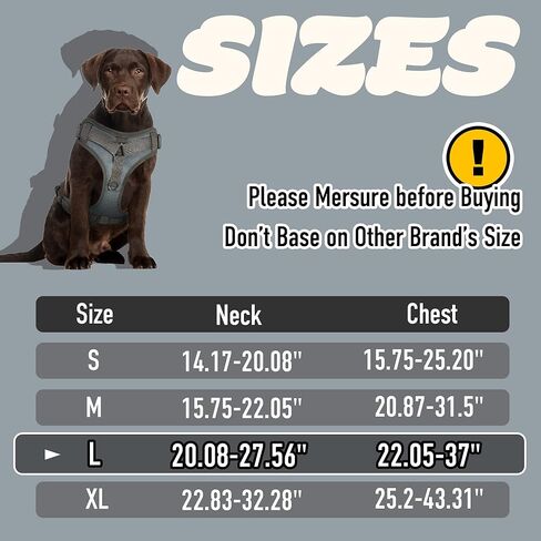 PETAGE التكتيكية الكلب تسخير للكلاب الصغيرة المتوسطة الكبيرة لا سحب قابل للتعديل لينة مبطن الكلب سترة عاكسة لا خنق الحيوانات الأليفة أكسفورد سترة مع سهولة التحكم الحيوانات الأليفة سترة الخدمة العسكرية الكلب يسخر (GreyL) in Kuwait
