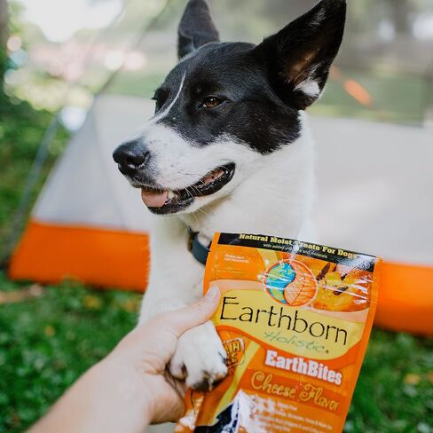 Earthborn Holistic EarthBites بنكهة الجبن، مكافآت رطبة خالية من الحبوب للكلاب in Kuwait