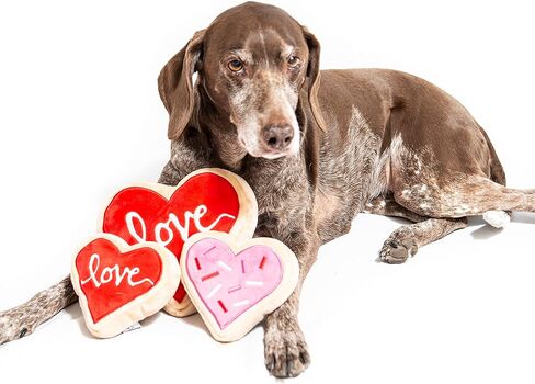 لعبة ميدلي للكلب على شكل قلب وردي وكوكيز كبيرة in Kuwait