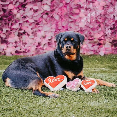 لعبة ميدلي للكلب على شكل قلب وردي وكوكيز كبيرة in Kuwait