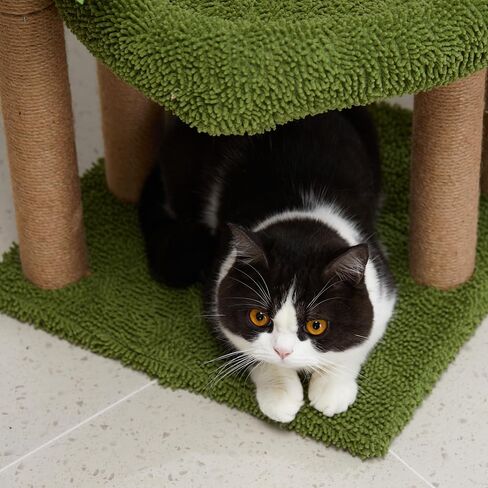 عمود خدش القطط من جيوباكو فورست مع سرير جثم كبير من القطيفة، خدش القطط، برج قطط صغير على شكل شجرة قطط للاستخدام الداخلي والخارجي للقطط والقطط البالغة in Kuwait