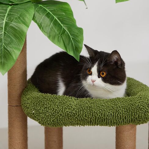 عمود خدش القطط من جيوباكو فورست مع سرير جثم كبير من القطيفة، خدش القطط، برج قطط صغير على شكل شجرة قطط للاستخدام الداخلي والخارجي للقطط والقطط البالغة in Kuwait