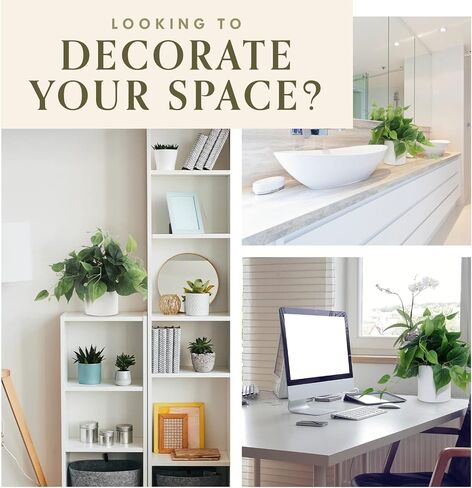 نباتات فور إيفر ليف الصناعية الداخلية، نباتات صناعية للديكور المنزلي الداخلي، نباتات بوثوس الصغيرة المزيفة، ديكور نباتات وهمية، نباتات زخرفية، نباتات وهمية، نباتات صناعية للداخلية والخارجية - وعاء أسود in Kuwait