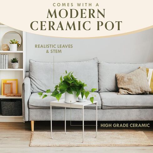 نباتات فور إيفر ليف الصناعية الداخلية، نباتات صناعية للديكور المنزلي الداخلي، نباتات بوثوس الصغيرة المزيفة، ديكور نباتات وهمية، نباتات زخرفية، نباتات وهمية، نباتات صناعية للداخلية والخارجية - وعاء أسود in Kuwait