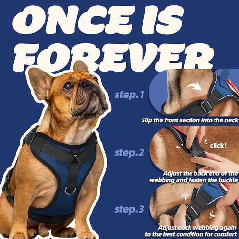 PETAGE التكتيكية الكلب تسخير للكلاب الصغيرة المتوسطة الكبيرة لا سحب قابل للتعديل لينة مبطن الكلب سترة عاكسة لا خنق الحيوانات الأليفة أكسفورد سترة مع سهولة التحكم الحيوانات الأليفة سترة الخدمة العسكرية الكلب يسخر (الأزرق L) in Kuwait