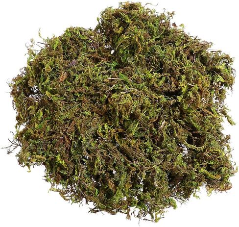 جارنيك 60 جم ​​من الطحالب الاصطناعية، نباتات صناعية طحالب وهمية محفوظة محاكاة نباتات خضراء طحالب صناعية نابضة بالحياة لتزيين فناء الحديقة in Kuwait