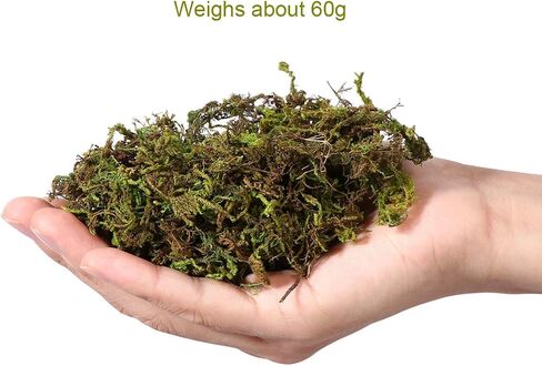 جارنيك 60 جم ​​من الطحالب الاصطناعية، نباتات صناعية طحالب وهمية محفوظة محاكاة نباتات خضراء طحالب صناعية نابضة بالحياة لتزيين فناء الحديقة in Kuwait