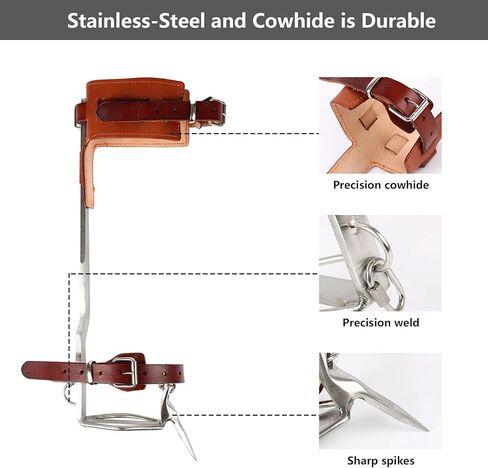 TWSOUL Tree Climbing Spikes Stainless-Steel with Harness Belt, Upgrade Cowhide Tree Gaffs Pads Spur Tree Climbing Gear for High Altitude Logging Fruit Picking Hunting in Kuwait