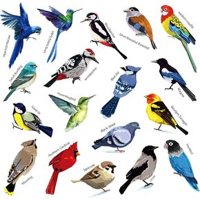 ملصقات حائط للطيور الطنانة الجميلة من AIYINGYING ملصقات جدارية للطيور الطنانة قابلة للإزالة لنافذة غرفة النوم وغرفة المعيشة والمكتب وغرفة الأطفال وديكور المنزل، 18 ملصق حائط على شكل طيور كبيرة ملصقات حيوانات in Kuwait