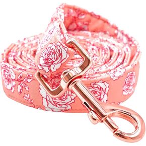 Lionheart glory Valentine's Day Strong Dog Leash, Spring Durable Dog leashes with Soft Handle for Walking Training Small Male or Female Dogs