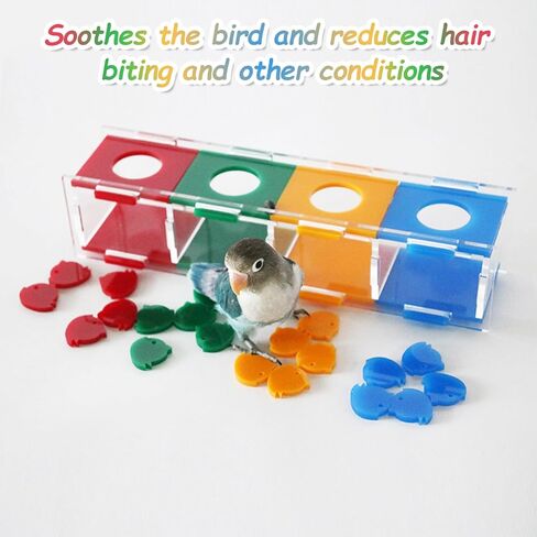 hautllaif Bird Training Toys, Training Intelligence Development, Colour Separation Coin Box, Desktop Interactive Toys, Parrot Intelligence Toys for Small and Medium-Sized Birds in Kuwait