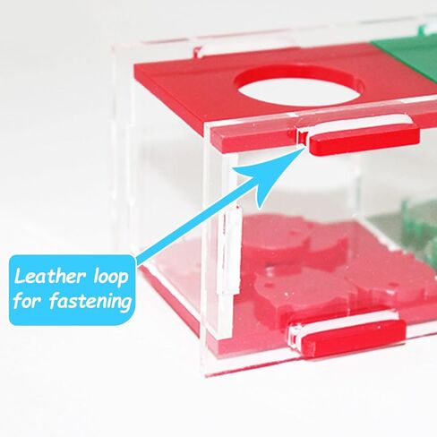 hautllaif Bird Training Toys, Training Intelligence Development, Colour Separation Coin Box, Desktop Interactive Toys, Parrot Intelligence Toys for Small and Medium-Sized Birds in Kuwait