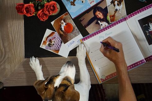 سجل قصاصات وكتاب تذكاري هاري، صاحب الكلاب أو جرو جديد، ألبوم أطفال ومنظم شخصي لتسجيل كل ذاكرة لكلبك الصغير in Kuwait