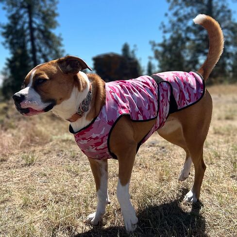 Dog Cooling Vest - 2-Layer Lightweight Performance - UPF50+ Full Coverage & Adjustable Fit for Small to Large Dogs (Blue, X-Small) in Saudi Arabia
