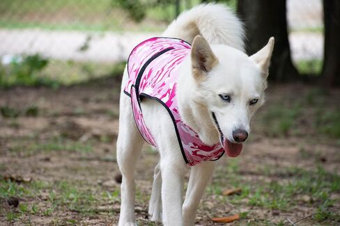 Dog Cooling Vest - 2-Layer Lightweight Performance - UPF50+ Full Coverage & Adjustable Fit for Small to Large Dogs (Blue, X-Small) in Saudi Arabia