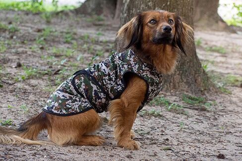 Dog Cooling Vest - 2-Layer Lightweight Performance - UPF50+ Full Coverage & Adjustable Fit for Small to Large Dogs (Blue, X-Small) in Saudi Arabia