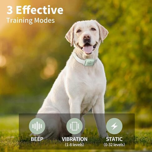 طوق تدريب الكلاب من بيتوري - طوق صدمات بطول 3000 قدم مع جهاز تحكم عن بعد للكلاب المتوسطة الصغيرة بوزن 5-100 رطل، طوق تدريب مقاوم للماء وقابل لإعادة الشحن IPX7 مع صوت تنبيه، اهتزاز (1-8)، صدمة آمنة (0-32) in Kuwait