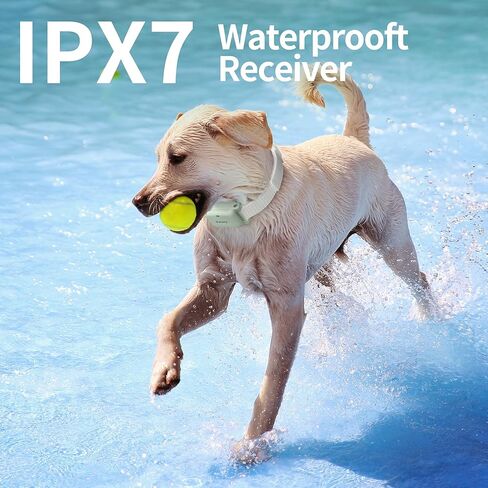 طوق تدريب الكلاب من بيتوري - طوق صدمات بطول 3000 قدم مع جهاز تحكم عن بعد للكلاب المتوسطة الصغيرة بوزن 5-100 رطل، طوق تدريب مقاوم للماء وقابل لإعادة الشحن IPX7 مع صوت تنبيه، اهتزاز (1-8)، صدمة آمنة (0-32) in Kuwait