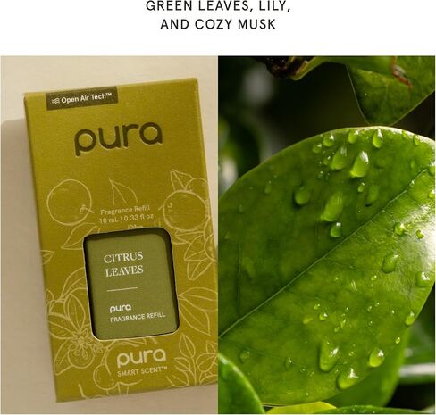 Pura Malodor Refill - Smart Home Air Diffuser Fragrance Refill - Up to 120-Hours of Premium Fragrance per Refill - Clean Diffuser Fragrance - Air Deodorizer & Odor Eliminator - 2 Pack, Chamomile Mint in Kuwait