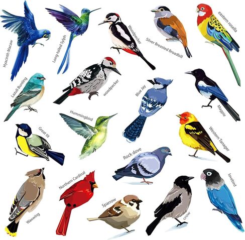 ملصقات حائط للطيور الطنانة الجميلة من AIYINGYING ملصقات جدارية للطيور الطنانة قابلة للإزالة لنافذة غرفة النوم وغرفة المعيشة والمكتب وغرفة الأطفال وديكور المنزل، 18 ملصق حائط على شكل طيور كبيرة ملصقات حيوانات in Kuwait