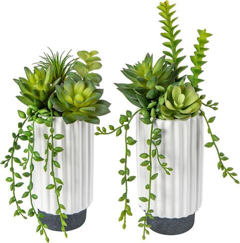 Hollyone Artificial Succulents Plants Set of 2 Faux Succulents 9" Fake Succulent Plants in Ceramic Pot Succulent Plant for Desk Modern Home Living Room Office Table Shelf Bathroom Decor in Kuwait