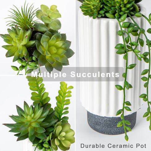 Hollyone Artificial Succulents Plants Set of 2 Faux Succulents 9" Fake Succulent Plants in Ceramic Pot Succulent Plant for Desk Modern Home Living Room Office Table Shelf Bathroom Decor in Kuwait