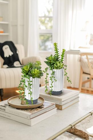 Hollyone Artificial Succulents Plants Set of 2 Faux Succulents 9" Fake Succulent Plants in Ceramic Pot Succulent Plant for Desk Modern Home Living Room Office Table Shelf Bathroom Decor in Kuwait