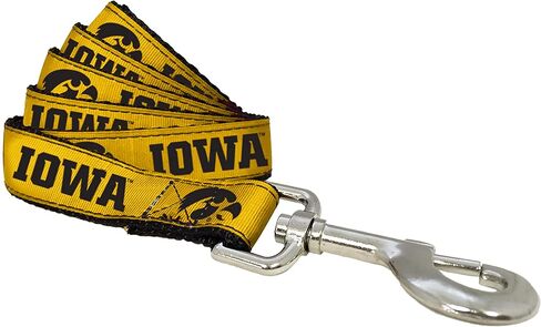 NCAA Iowa Hawkeyes Dog CJ1057-DSH4 (لون الفريق ، مقاس كبير) in Kuwait