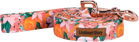 Lionheart glory Valentine's Day Strong Dog Leash, Spring Durable Dog leashes with Soft Handle for Walking Training Small Male or Female Dogs in Kuwait