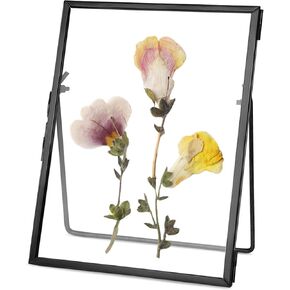 REDHUGO Glass Pressed Flower Frame Handmade, Floating Picture Frames for Pressed Flowers, Tabletop Artwork Photo Frames, Brass Desk Picture Frame for Home Office Plant Specimen, Black, 4x6 Inches in Kuwait