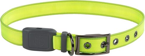 Nite Ize NiteDog Rechargeable LED Collar, USB Rechargeable Light Up Dog Collar w/Metal Buckle, Water Resistant, X-Large, Blue in Saudi Arabia