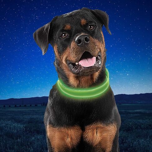 Nite Ize NiteDog Rechargeable LED Collar, USB Rechargeable Light Up Dog Collar w/Metal Buckle, Water Resistant, X-Large, Blue in Saudi Arabia