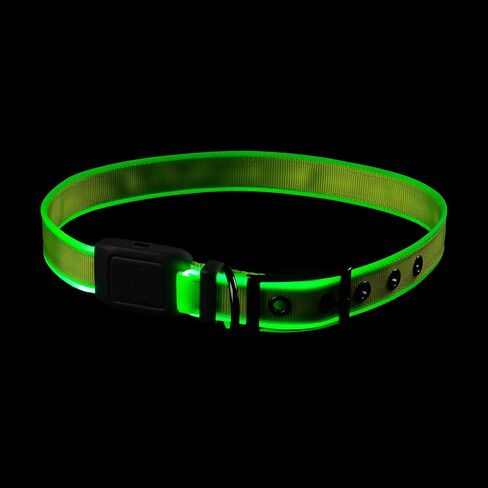 Nite Ize NiteDog Rechargeable LED Collar, USB Rechargeable Light Up Dog Collar w/Metal Buckle, Water Resistant, X-Large, Blue in Saudi Arabia