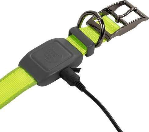 Nite Ize NiteDog Rechargeable LED Collar, USB Rechargeable Light Up Dog Collar w/Metal Buckle, Water Resistant, X-Large, Blue in Saudi Arabia