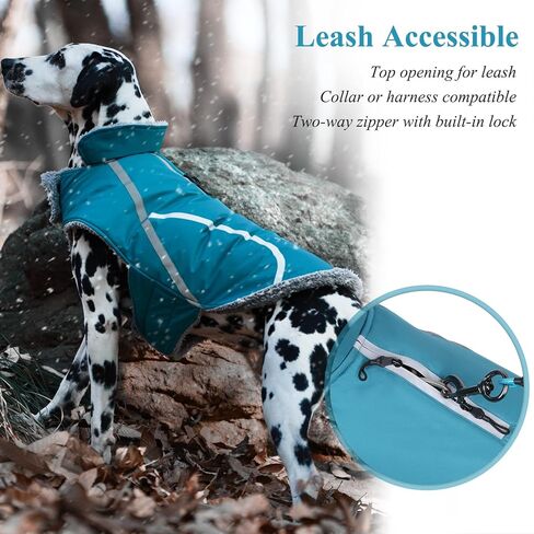 VIVAGLORY معطف الكلب للطقس البارد، عاكس للثلوج ومقاوم للرياح، ملابس شتوية سميكة ودافئة للكلاب مع ياقة فروي، ملابس حيوانات أليفة مريحة وقابلة للتعديل مقاومة للماء للكلاب المتوسطة، فيروزي، مقاس M in Kuwait