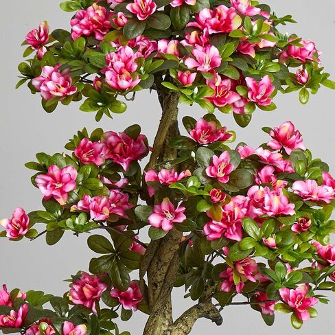 Nearly Natural 5' Azalea Artificial Tree, Pink,20"D x 20"W x 5'H in Saudi Arabia