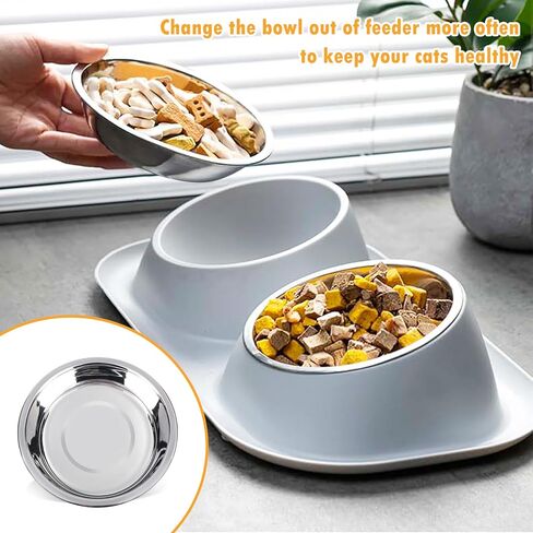 Stainless Steel Cat Bowls, 12PCS Shallow Cat Bowl Metal Cat Dishes for Food and Water, 5.5 Inches Diameter Cat Food Dish, Shallow Raised Shallow Cat Food Dish for Small Dogs and Cats, Dishwasher Safe in Kuwait