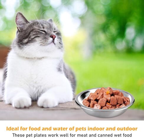 Stainless Steel Cat Bowls, 12PCS Shallow Cat Bowl Metal Cat Dishes for Food and Water, 5.5 Inches Diameter Cat Food Dish, Shallow Raised Shallow Cat Food Dish for Small Dogs and Cats, Dishwasher Safe in Kuwait