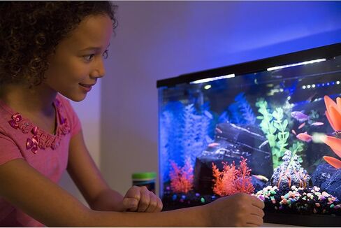 زينة بركان GloFish لأحواض السمك، 2.38 × 3.31 × 3.44 بوصة، موليت، متوسط، الموديل: 75077301 in Kuwait