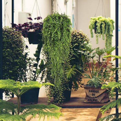 Siyurongg 4 Pcs Artificial Hanging Plants, Fake Boston Ferns, 2.6ft Artificial Hanging Ivy Vines Leaves Greenery Plastic for Wall Indoor Outdoor Hanging Baskets Wedding Party Garland Decor in Kuwait