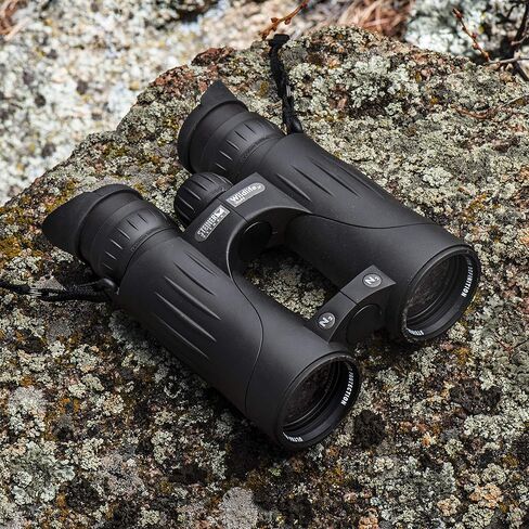 ستينير مناظير وايلد لايف 8 × 24 - صور مدمجة وخفيفة وقوية وحادة وعالية التباين - الرفيق المثالي لتسلق الجبال أو التسلق أو الرحلات in Kuwait