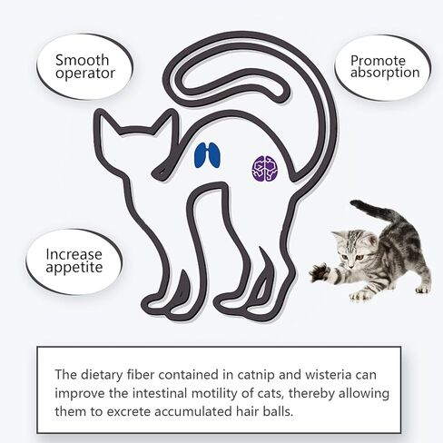 MEMOVAN Catnip Ball for Cats Wall 4 Pack Catnip Toys Edible Kitty Toys for Cat Lick Silvervine Balls Kitten Chew Toy Teeth Cleaning Dental Cat Toy Cat Wall Treats Increase Appetite Relieve Cat in Kuwait