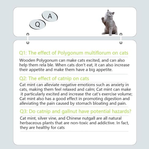 MEMOVAN Catnip Ball for Cats Wall 4 Pack Catnip Toys Edible Kitty Toys for Cat Lick Silvervine Balls Kitten Chew Toy Teeth Cleaning Dental Cat Toy Cat Wall Treats Increase Appetite Relieve Cat in Kuwait