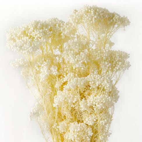 MIHUAGE Dried Flower Mihua Flower 2 Bundle 17inch in Kuwait