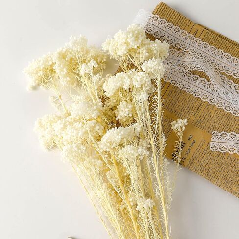 MIHUAGE Dried Flower Mihua Flower 2 Bundle 17inch in Kuwait