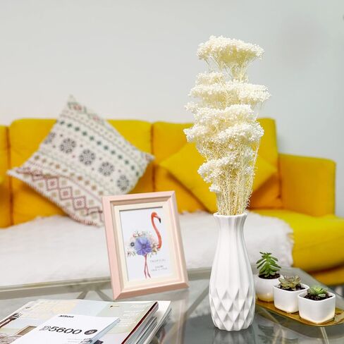 MIHUAGE Dried Flower Mihua Flower 2 Bundle 17inch in Kuwait