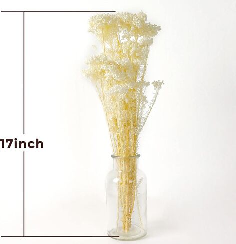 MIHUAGE Dried Flower Mihua Flower 2 Bundle 17inch in Kuwait